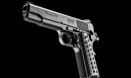 SIG 1911 We The People