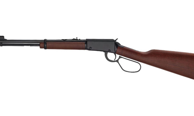 The Best .22 Lever Action Carbine on Planet Earth; Henry .22 Caliber Carbine