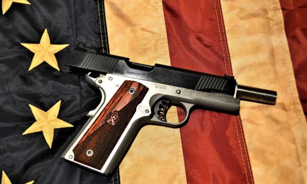 Springfield Ronin, My Manly Go To 1911 10mm